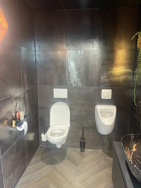 Toiletten in een badkamer, uitgevoerd door Klusbedrijf Gierveld in Hoofddorp